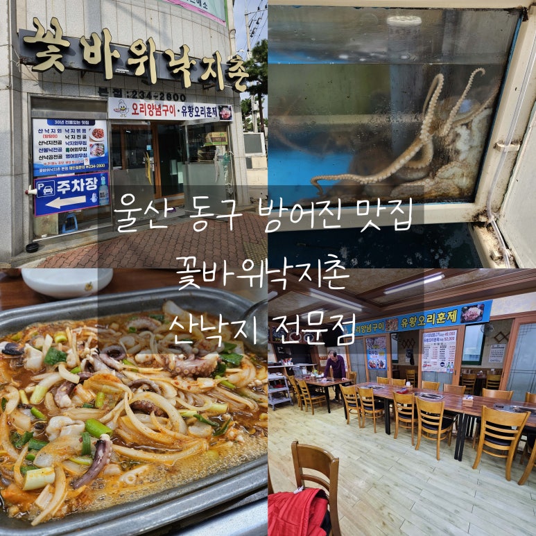 산낙지촌 이미지
