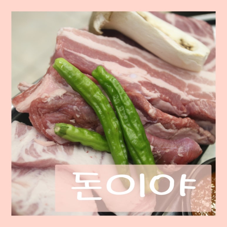 돈이야돈 이미지