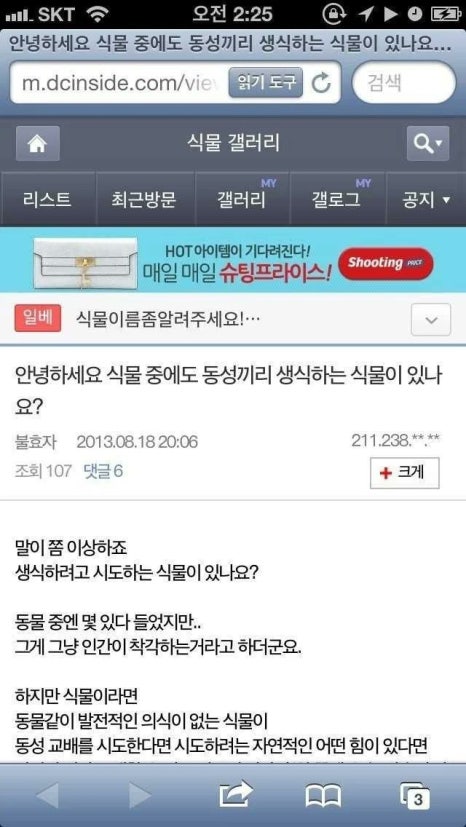 하잎 이미지