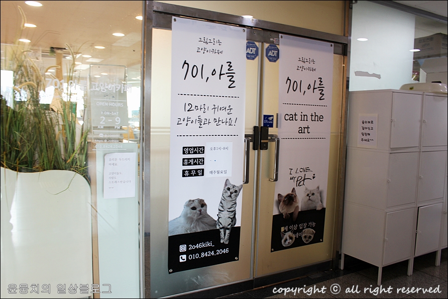 701아를고양이카페(cat in the art) 이미지