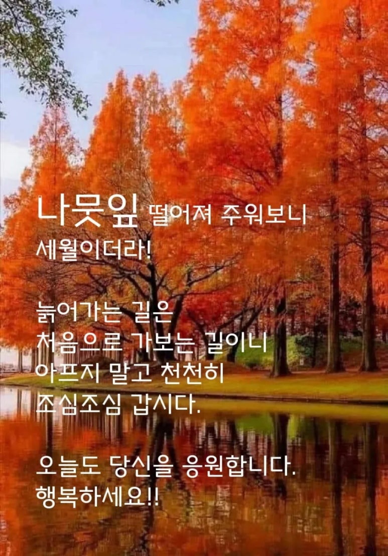고엘통신 이미지