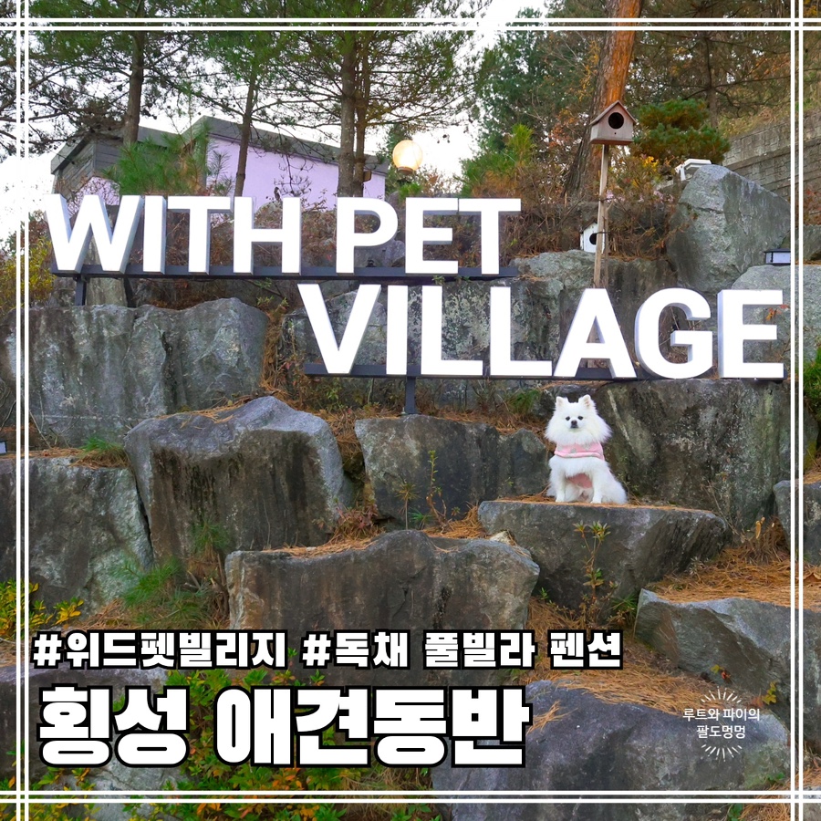 위드펫빌리지 이미지