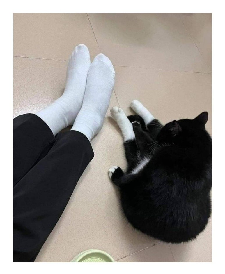 구들짱 이미지