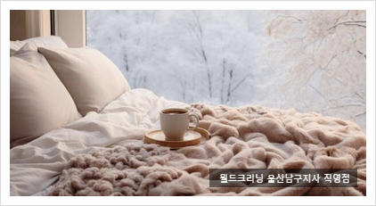 월드크리닝울산 이미지