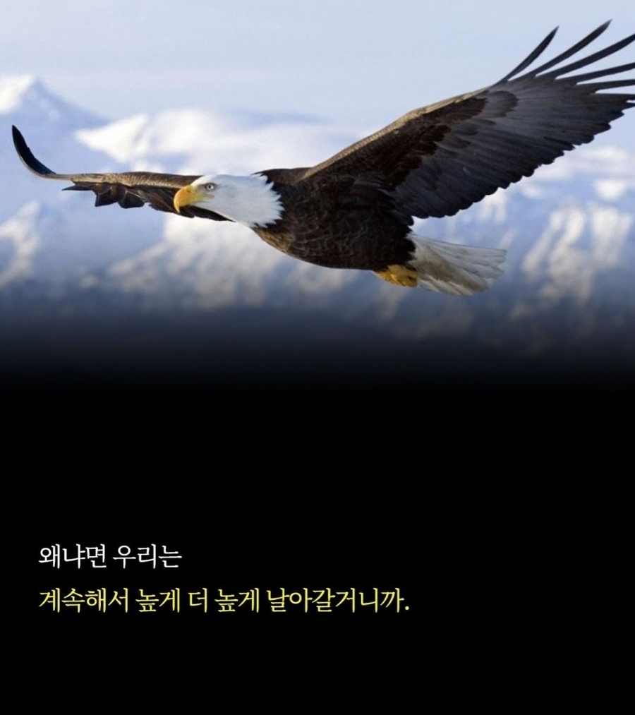 너라는선물 이미지