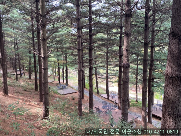 더쉘터 이미지