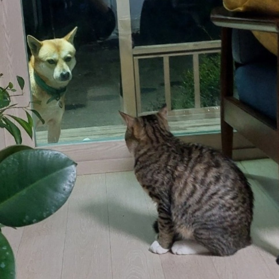 뽕달 이미지