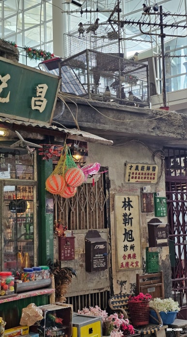 비둘기문구점 이미지