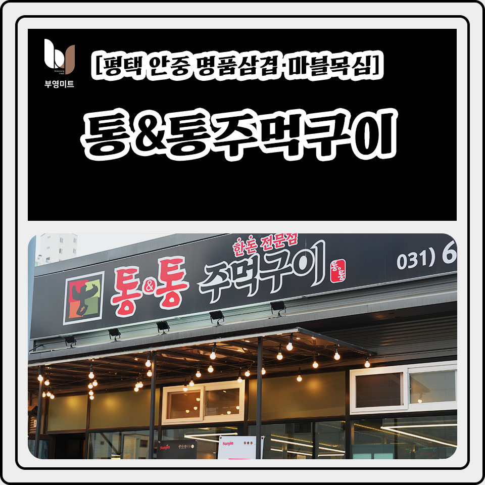 안중포크 이미지