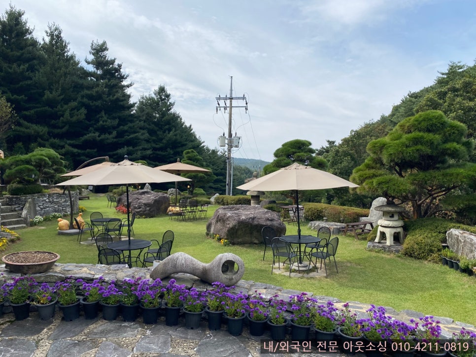 더쉘터 이미지