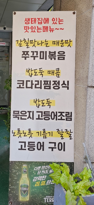 골목안 생태집 이미지
