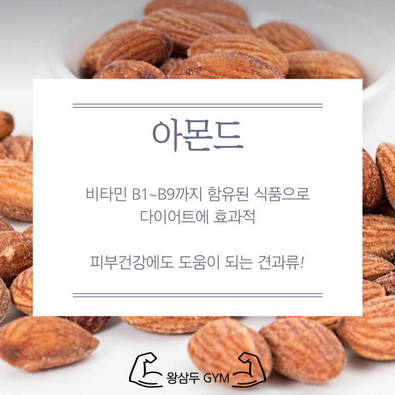 용현견과 이미지