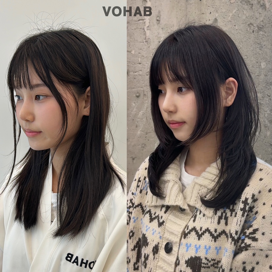 보하비 이미지