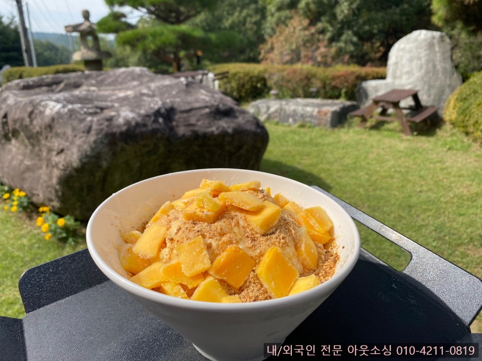 더쉘터 이미지