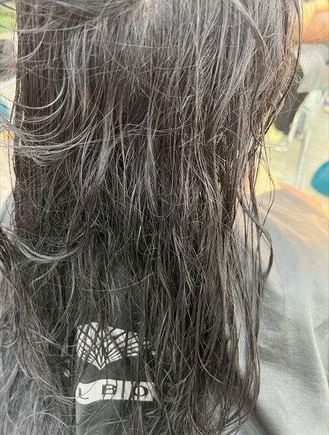 메디도트 이미지