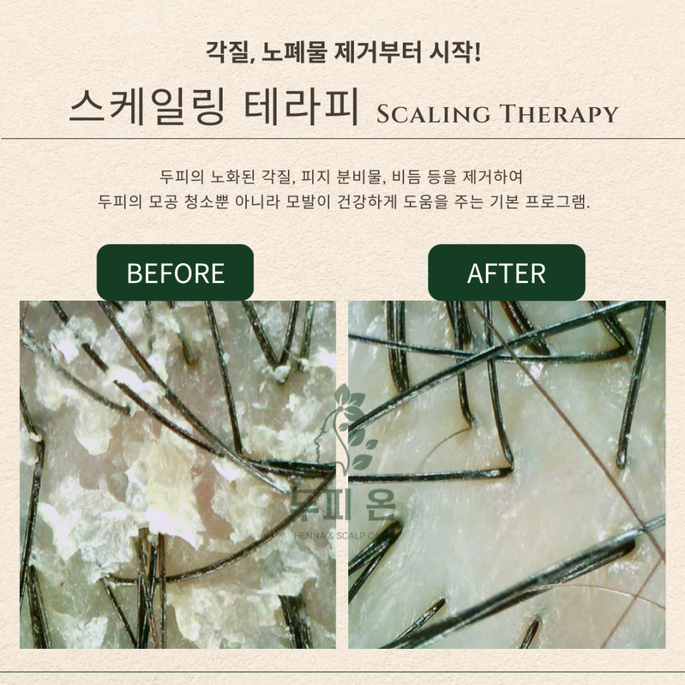 하라힐즈하가점 이미지