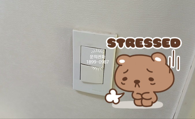 주은전기조명 이미지