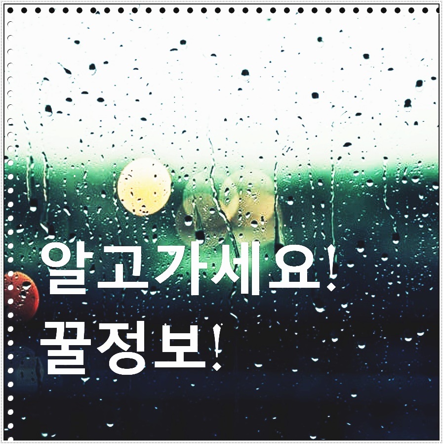 (주)현대엘앤씨 이미지