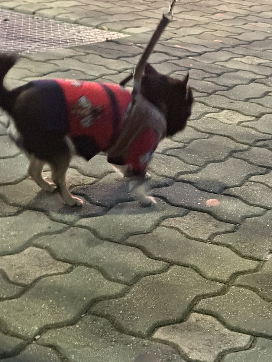 컴스콩 이미지