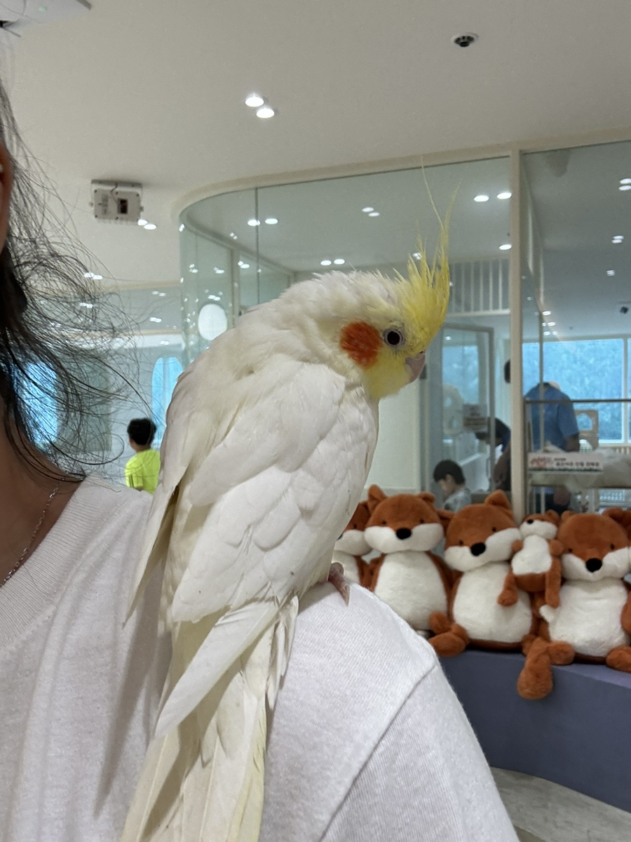 카페 마리 이미지