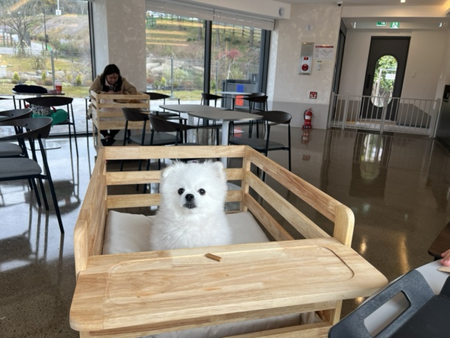포리김밥 이미지
