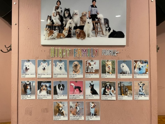 히릿카페 이미지