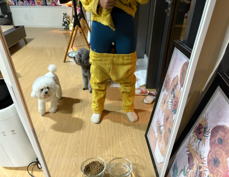 다르짐 이미지