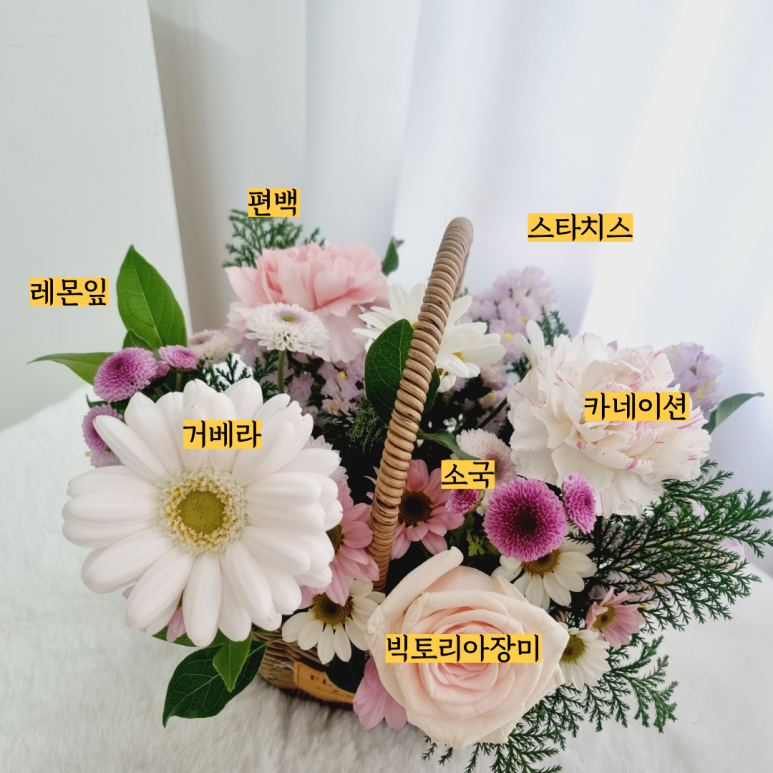 플로랄데이즈 이미지