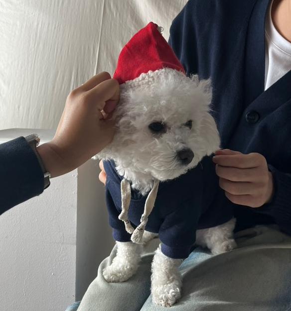 사파리사진관청주점 이미지