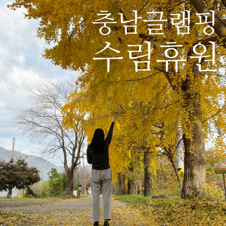 수림휴원 이미지