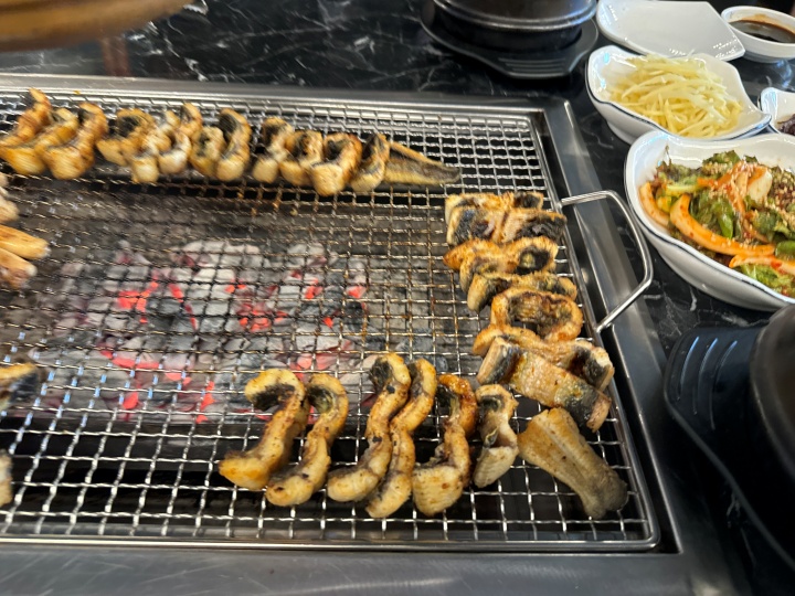 용마그집장어 이미지