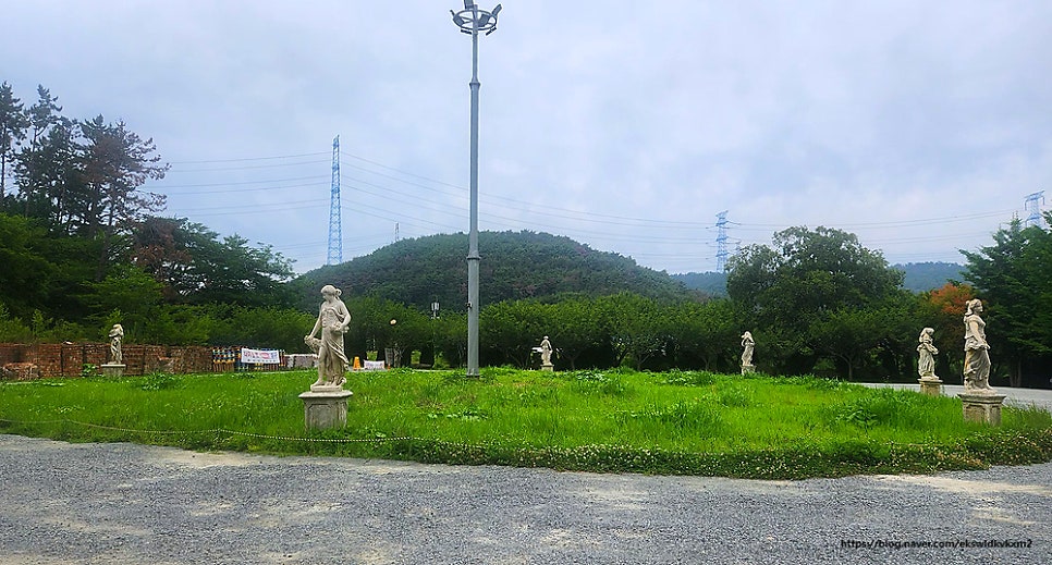 별빛카페24 이미지