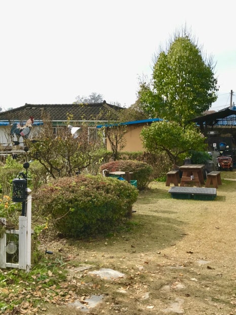 산골백숙 이미지