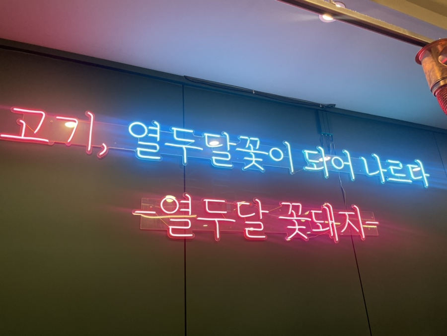 열두달꽃돼지 이미지