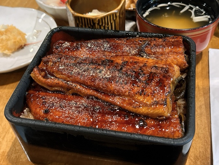 타마 이미지