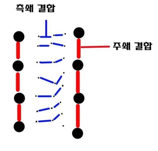포이에마 이미지