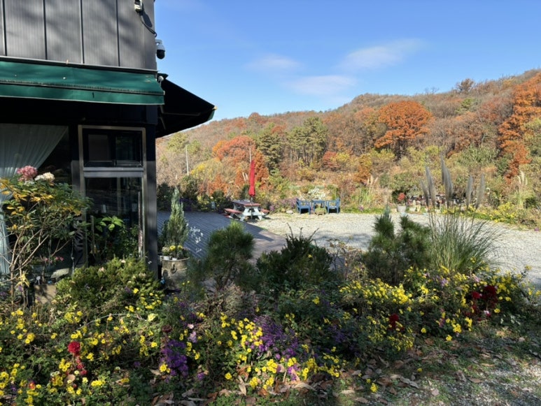 용인둥지골캠핑장 이미지
