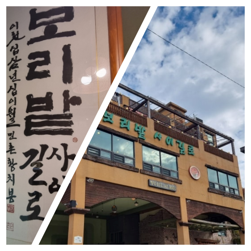 보리쭈꾸미 이미지