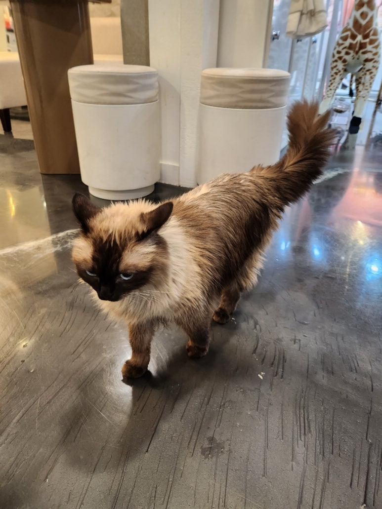 마벨뷰티 이미지