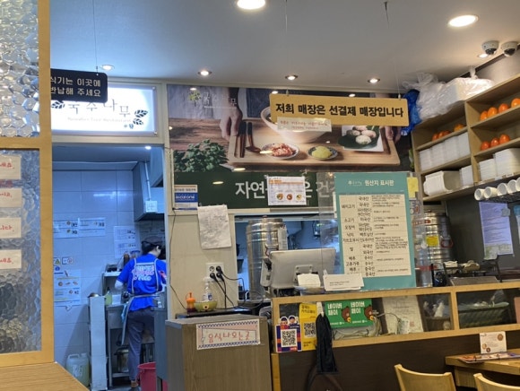 국수나무효자 이미지