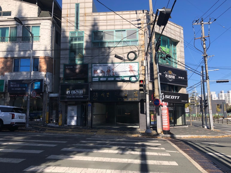 퀸테라피 이미지