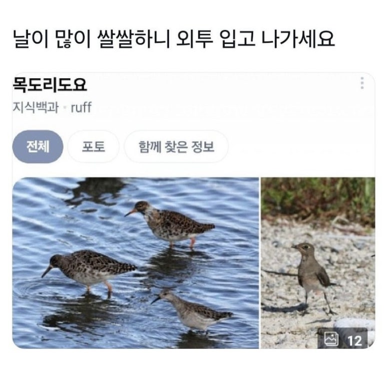 화이트클라우드 이미지