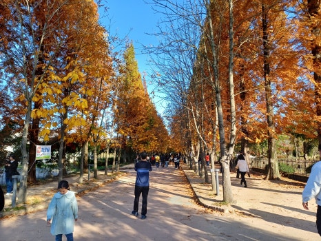 천년숲 이미지