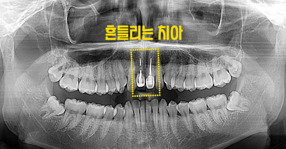 범어도담치과의원 이미지