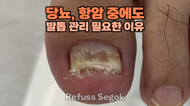 레푸스강남세곡점 이미지