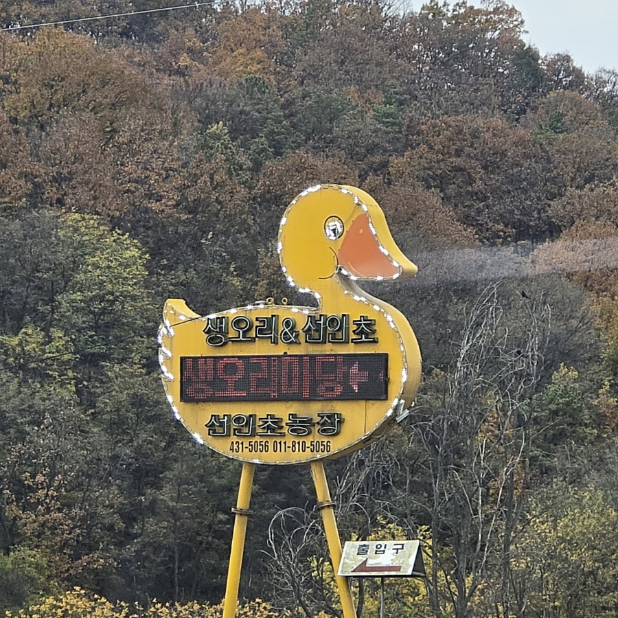생오리마당 이미지