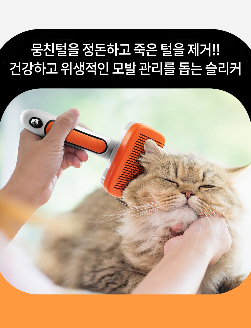 쓱싹 이미지