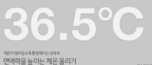 짐파시 이미지