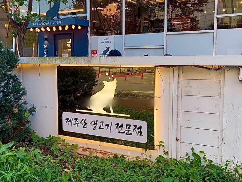 제주모련 이미지