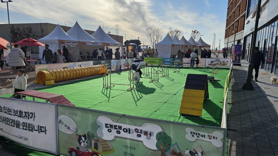 대한기획렌탈 이미지